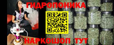сатива Гусиноозёрск