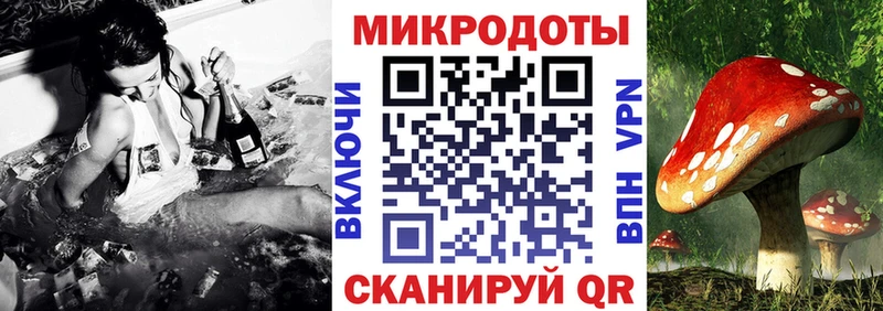 купить наркоту  Миллерово  Галлюциногенные грибы прущие грибы 