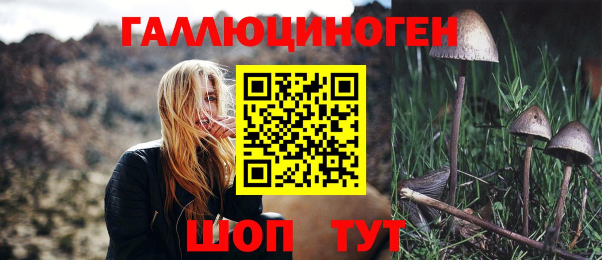 Миллерово  Галлюциногенные грибы мухоморы  Вход с VPN 